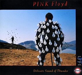 Pink Floyd: Delicate Sound Of Thunder: Live (remastered) 