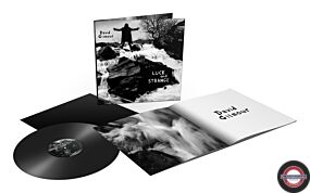 David Gilmour: Luck And Strange (Indie Edition) (Black Vinyl)