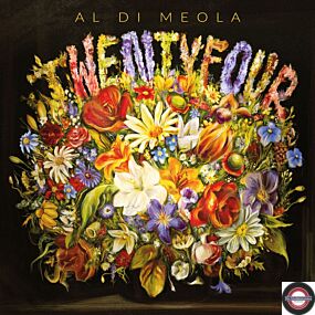 Al Di Meola: Twentyfour