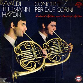 Hörner (2) und Streicher: Von Haydn bis Telemann